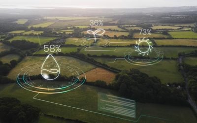 top bca colleges in kerala