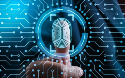 BCA colleegs in Kerala