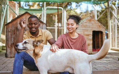 top architecture colleges in kerala